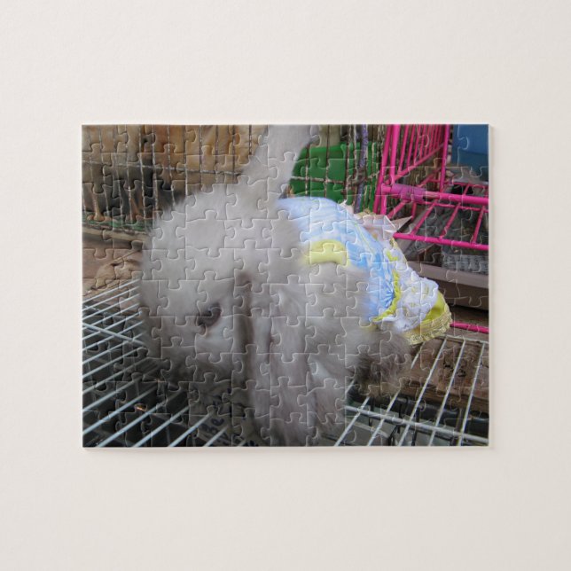 Puzzle Un lapin en robe (Horizontal)