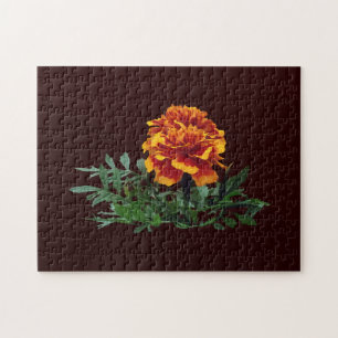Puzzle Un Marigold orange avec pourboires jaunes