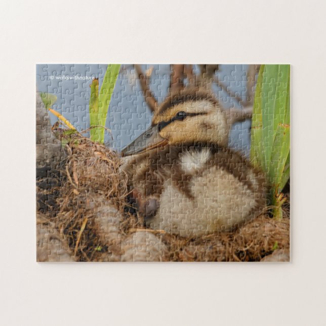 Puzzle Un mignon canard à colle et précieux (Horizontal)