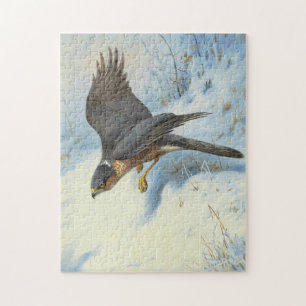 Puzzle Un Moineau-faucon en vol