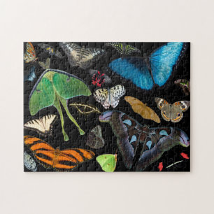 Puzzle Un monde des papillons et des mites