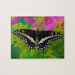 Puzzle Un papillon swallowtail atterrissant