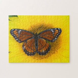 Puzzle Un papillon vice-roi Limenitis Archippus