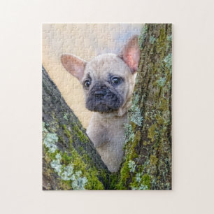 Puzzle Un petit chien de taureau français en fourche