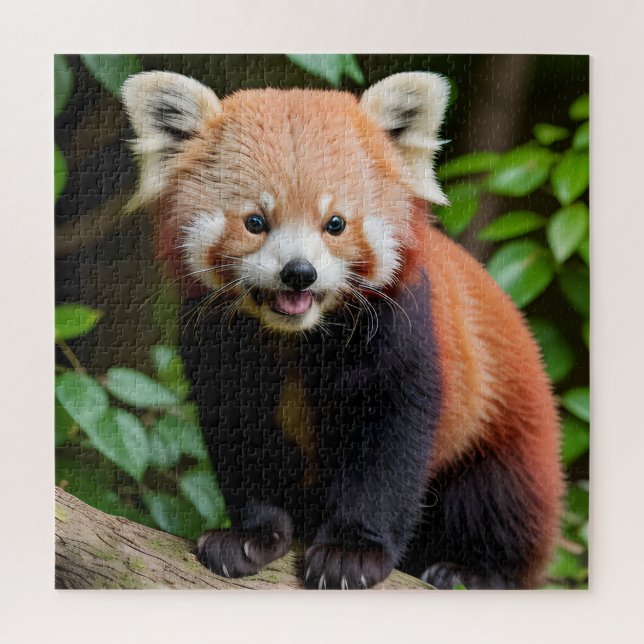 Puzzle Un portrait d'un mignon panda rouge (Vertical)