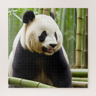 Puzzle Un portrait en gros plan d'un panda