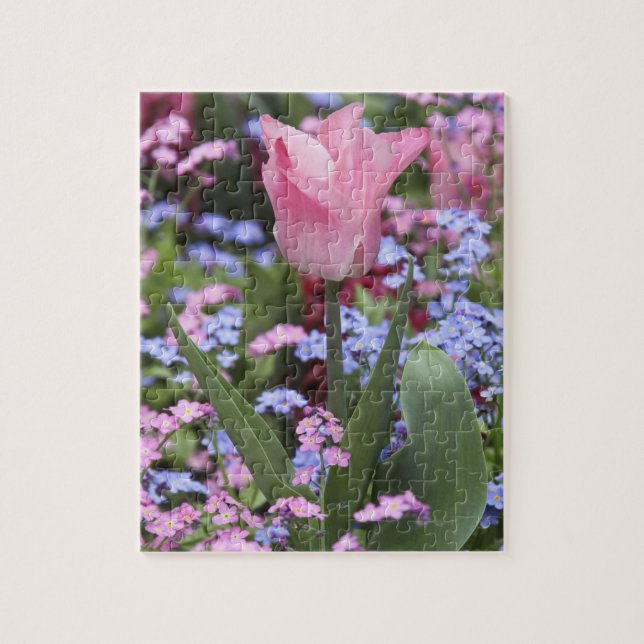Puzzle Un tulipe au Jardin du Luxembourg, Paris, France (Vertical)