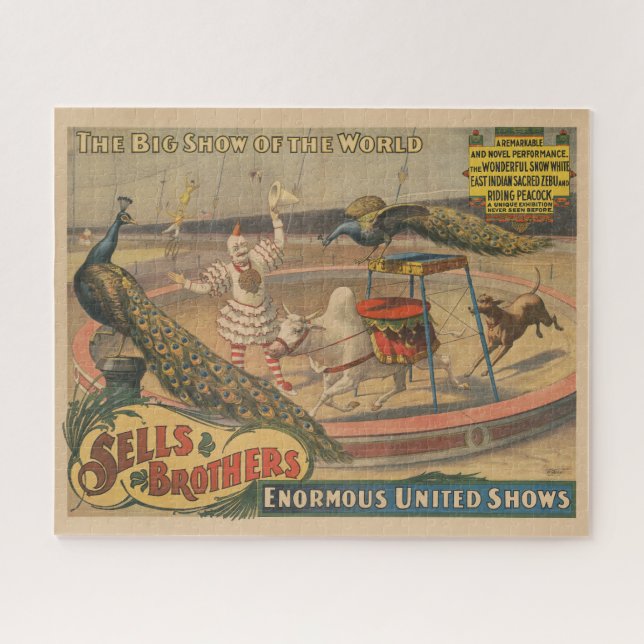 Puzzle Un Zébu Et Un Peacock Avec Un Entraîneur De Clown (Horizontal)