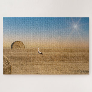 Puzzle Une cigogne blanche