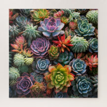 Une masse de succulents