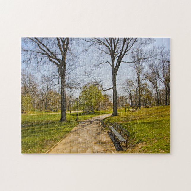Puzzle Une photo Abstraite de Central Park New York. (Horizontal)