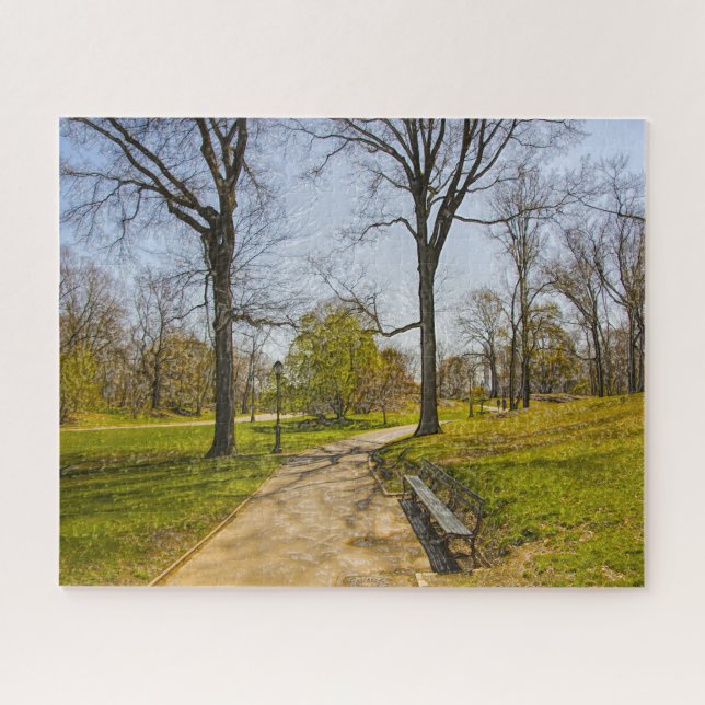 Puzzle Une photo Abstraite de Central Park New York. (Horizontal)