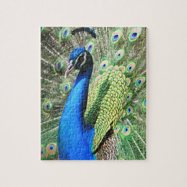 Puzzle Une superbe photo de Peacock (Vertical)