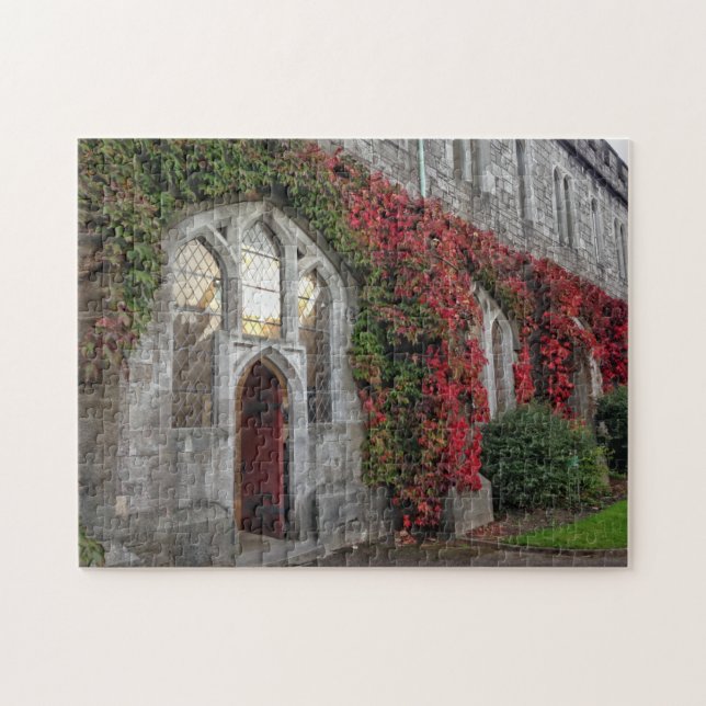 Puzzle University College Cork Fall Colours Irlande Puzzl (Horizontal)