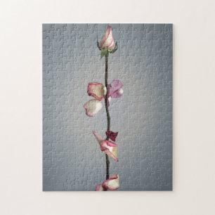 Puzzle Until the last petal...