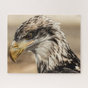 Puzzle Up Close Eagle Photo