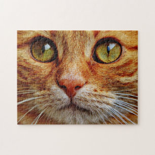 Puzzle Up Close of Orange Tabby Cat