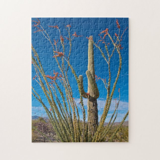 Puzzle USA, Arizona. Cactus Dans Le Parc National Du Sagu (Vertical)