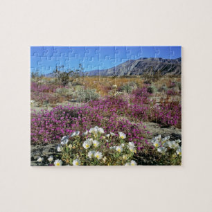 Puzzle USA, Californie, Anza-Borrego DSP. Soirée de dunes