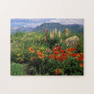 Puzzle USA, Colorado, Crested Butte. Pépites et lupins