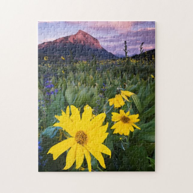 Puzzle USA, Colorado, Mt. Crested Butte (Vertical)