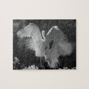 Puzzle USA, Floride, Great Egret (Ardea alba) infrarouge 
