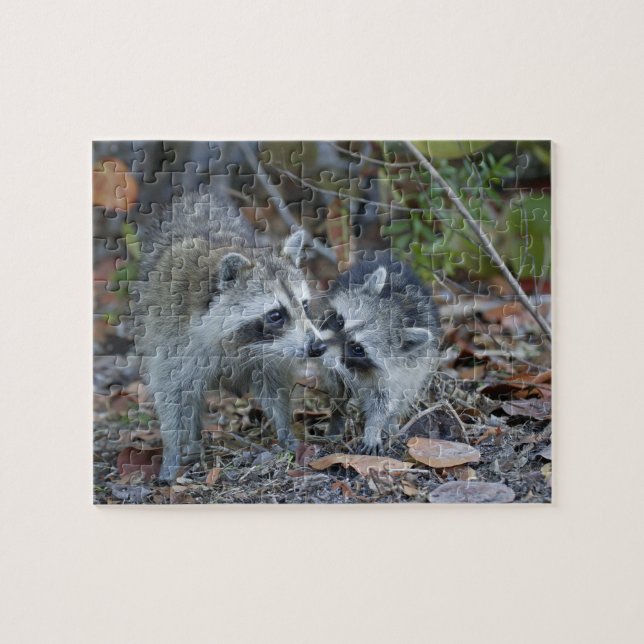 Puzzle USA, Floride, Sanibel, Ding Darling National (Horizontal)