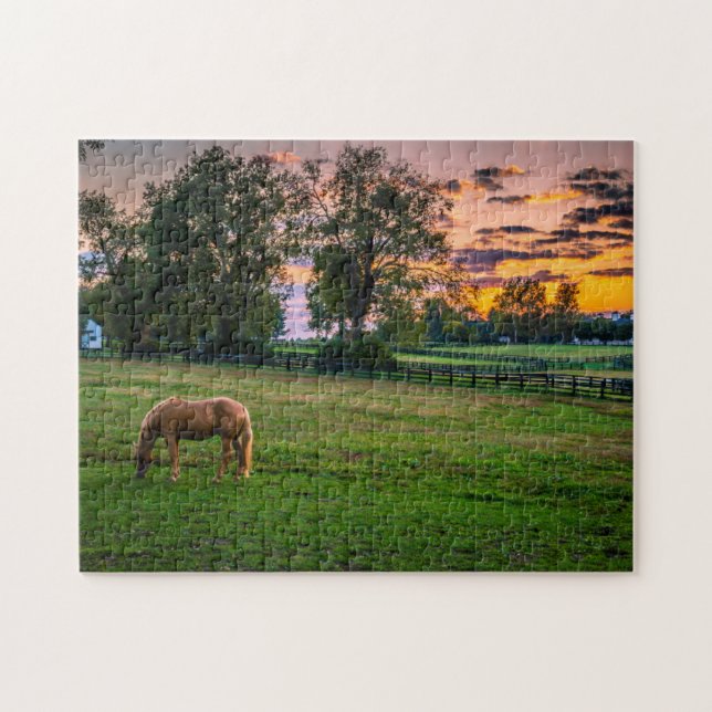 Puzzle USA, Lexington, Kentucky. Cheval solitaire au couc (Horizontal)