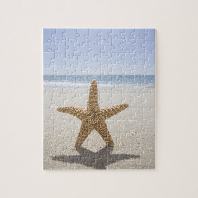 Puzzle USA, Massachusetts, Cape Cod, Nantucket, fermeture (Vertical)