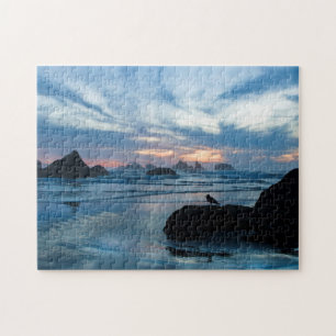 Puzzle USA, Oregon, Bandon Beach. Mouette sur pierre