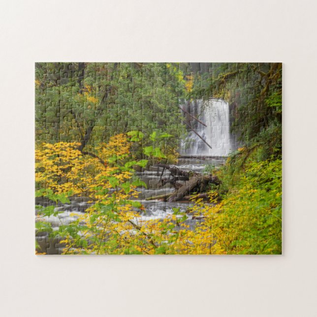 Puzzle USA, Oregon, Silver Falls State Park 2 (Horizontal)