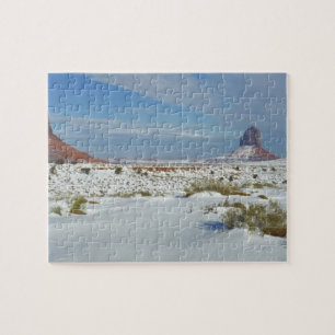 Puzzle USA, Utah, Monument Valley. Sagebrush
