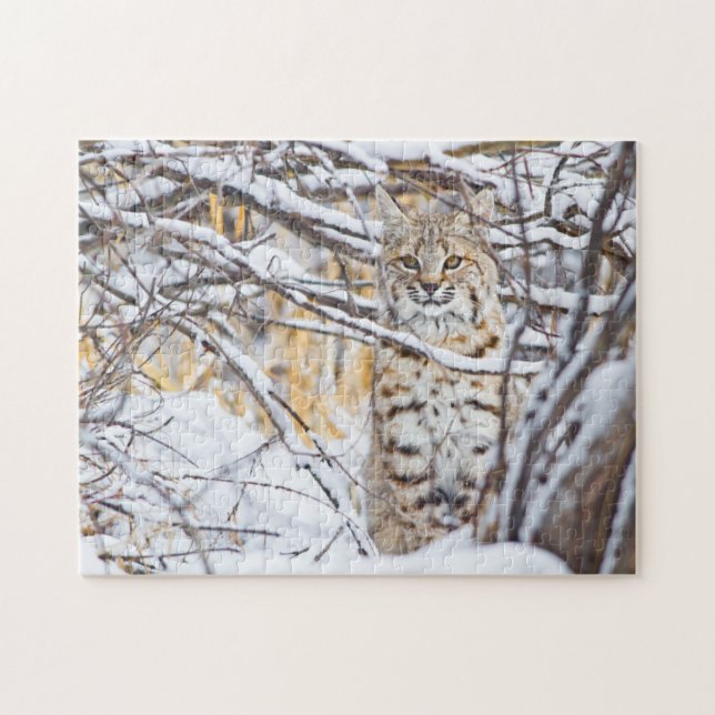 Puzzle USA, Wyoming, Bobcat (Horizontal)
