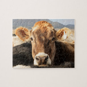 Puzzle Vache