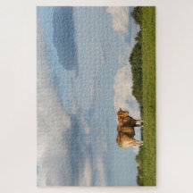 Vache Blonde d'Aquitaine en Dordogne, France