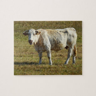 Puzzle Vache de Blonde Aquitaine
