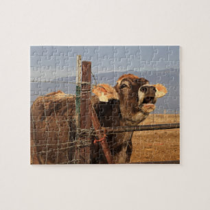 Puzzle Vache drôle