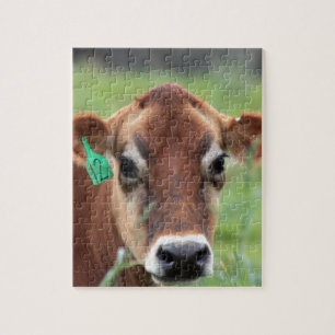 Puzzle Vache du Jersey
