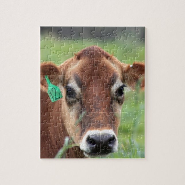 Puzzle Vache du Jersey (Vertical)