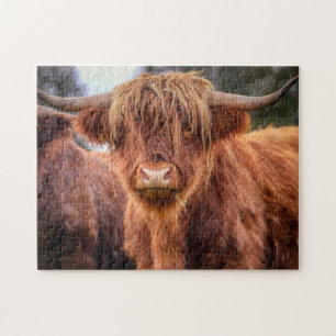 Puzzle Vache écossaise des Highlands