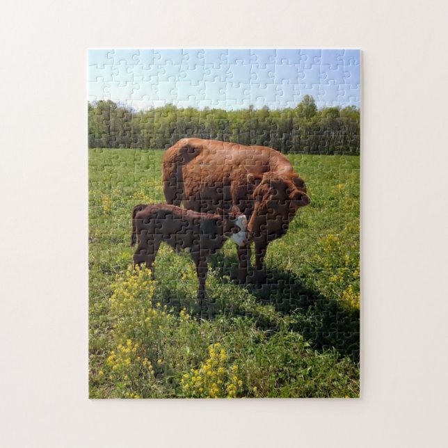 Puzzle Vache et veau d'amour maternel (Vertical)