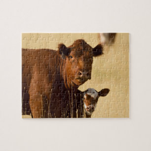 Puzzle Vache et veau de l'Ouest