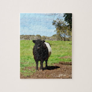 Puzzle Vache femelle ceinturée,