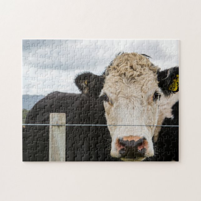 Puzzle Vache par la clôture (Horizontal)