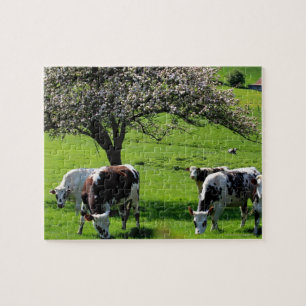Puzzle Vache parmi les pommiers en fleurs en Normandie