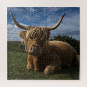 Puzzle Vache robuste de Highland