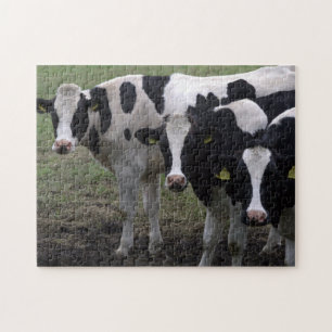 Puzzle Vaches