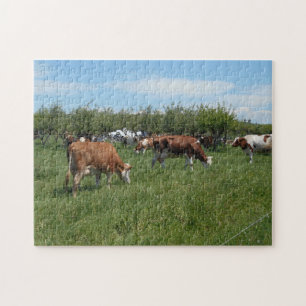 Puzzle Vaches Dans Le Pâturage