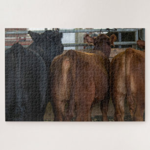 Puzzle Vaches de derrière