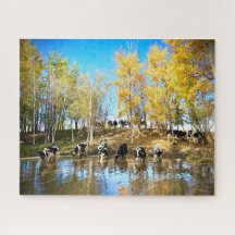 Vaches en automne à l'étang